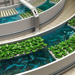 Curso Aquaponia