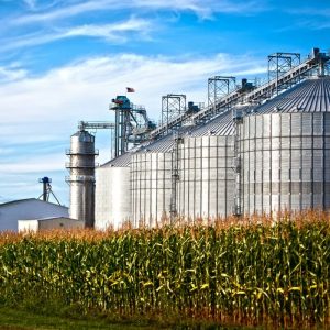Curso Armazenamento de Produtos Agropecuários