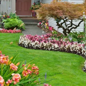 Curso Jardinagem e Paisagismo
