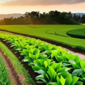 Curso Agroecologia