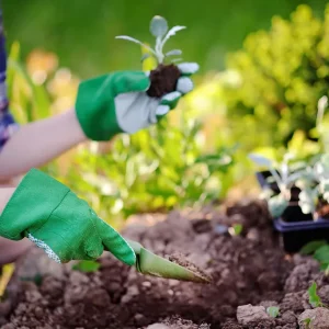 Curso Jardinagem