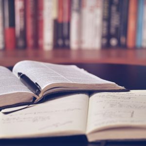 Auxiliar de Biblioteca