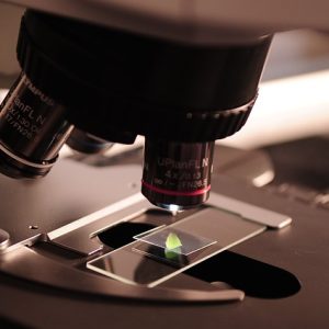 Metodologia da Pesquisa Científica