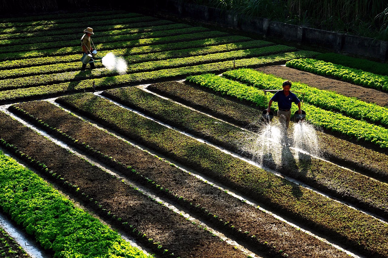 Curso Noções em Engenharia Agropecuária