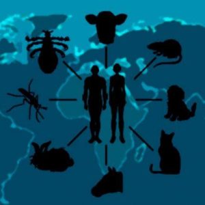 Capacitação em Parasitologia Aplicada aos Animais Domésticos - Zoonoses
