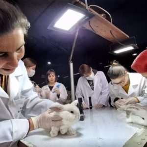 Vigilância Epidemiológica de Animais